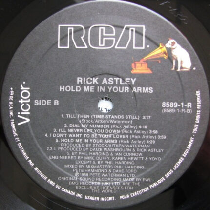 Rick Astley Hold Me In Your Arms Lp Dreams On Vinyl Vinilo De Poca