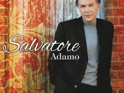 Salvatore Adamo* - Grandes Éxitos En Castellano LP